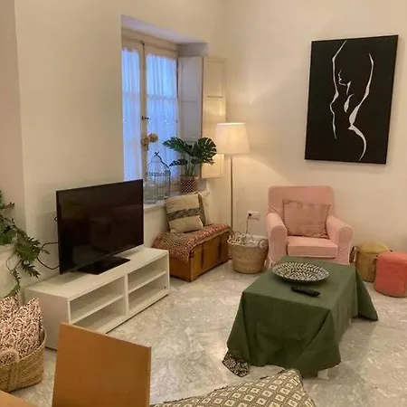 公寓 Piso Centro Historico *